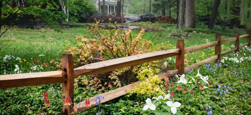 Split Rail Fence